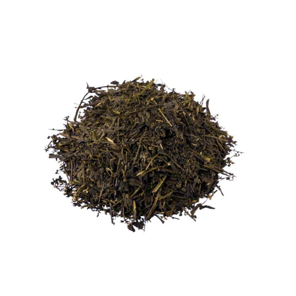 SA Sencha