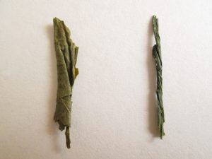 hoja de bancha vs hoja de sencha