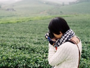 el turismo del té